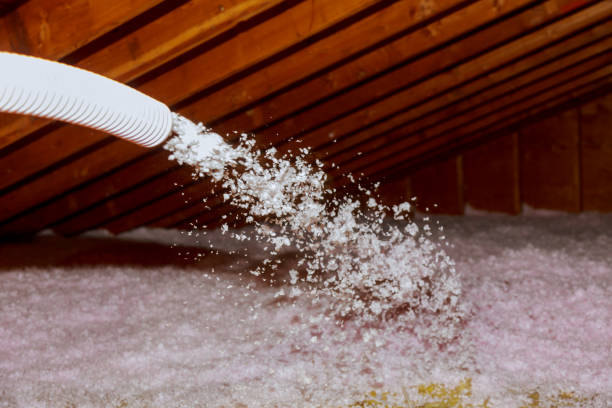 Best Eco-Friendly Insulation in Sherrelwood, CO